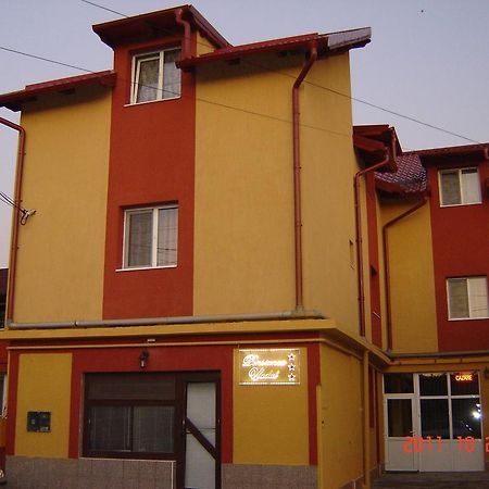Pensiunea Vladut Timisoara Timişoara Exterior foto