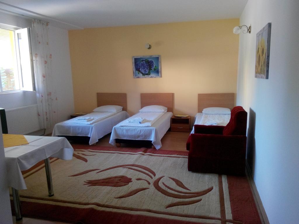 Pensiunea Vladut Timisoara Timişoara Exterior foto