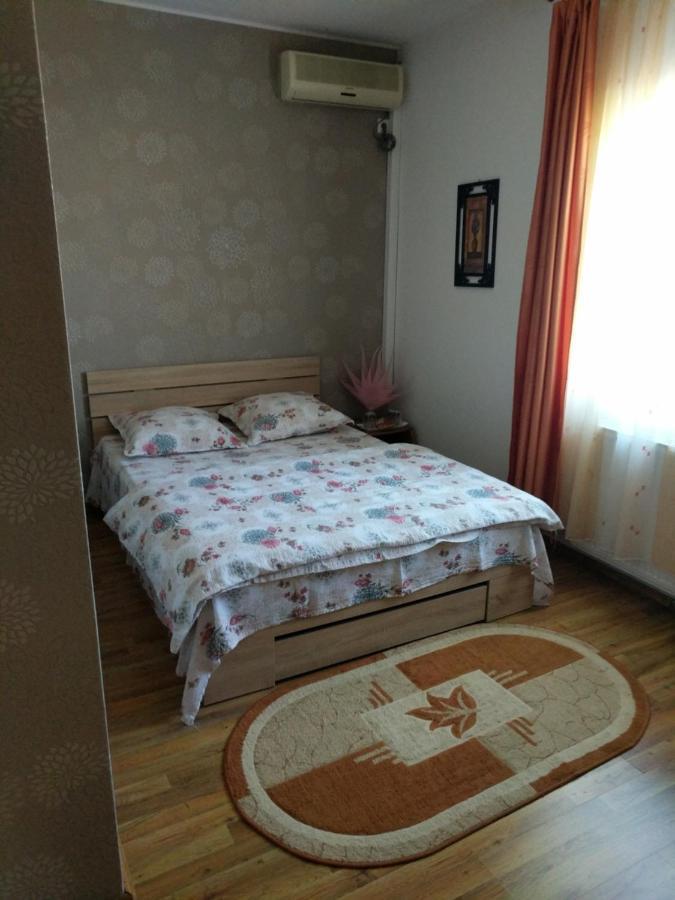 Pensiunea Vladut Timisoara Timişoara Exterior foto