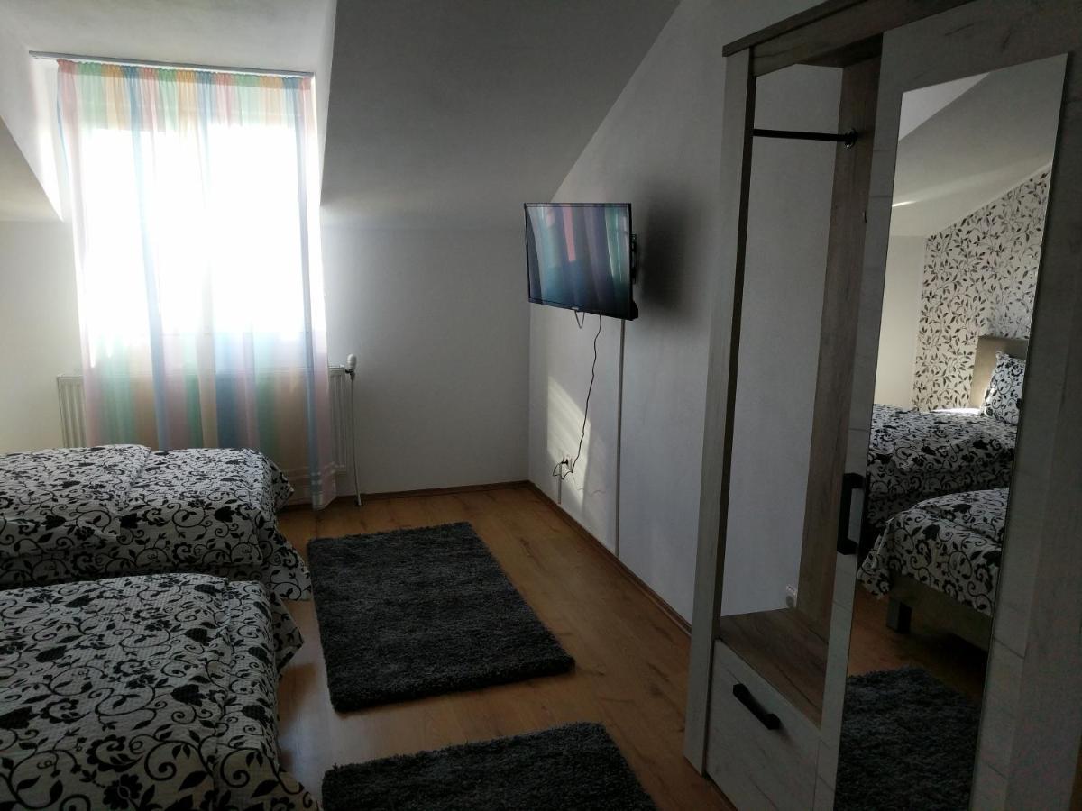 Pensiunea Vladut Timisoara Timişoara Exterior foto