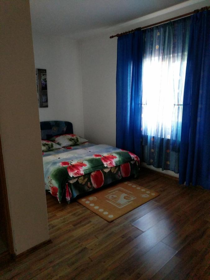 Pensiunea Vladut Timisoara Timişoara Exterior foto