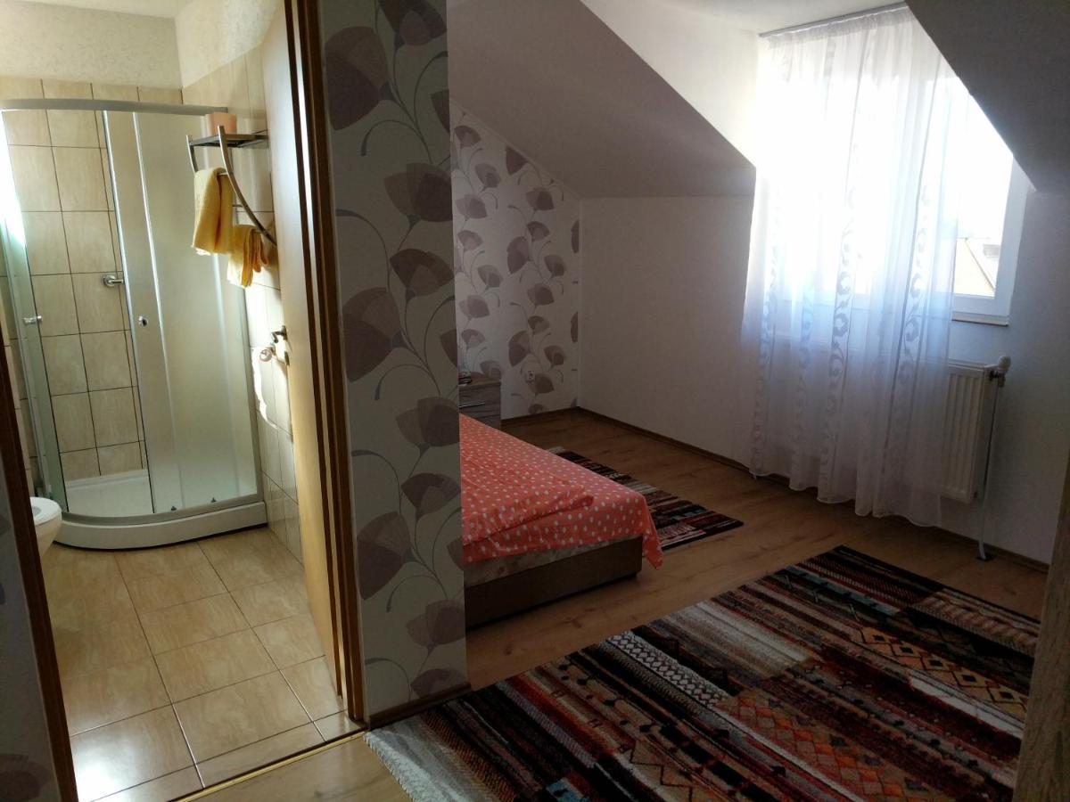Pensiunea Vladut Timisoara Timişoara Exterior foto